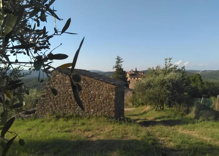 Borgo Carpineto