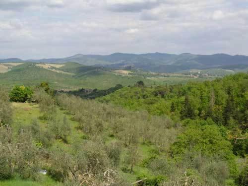 Borgo Carpineto 3*