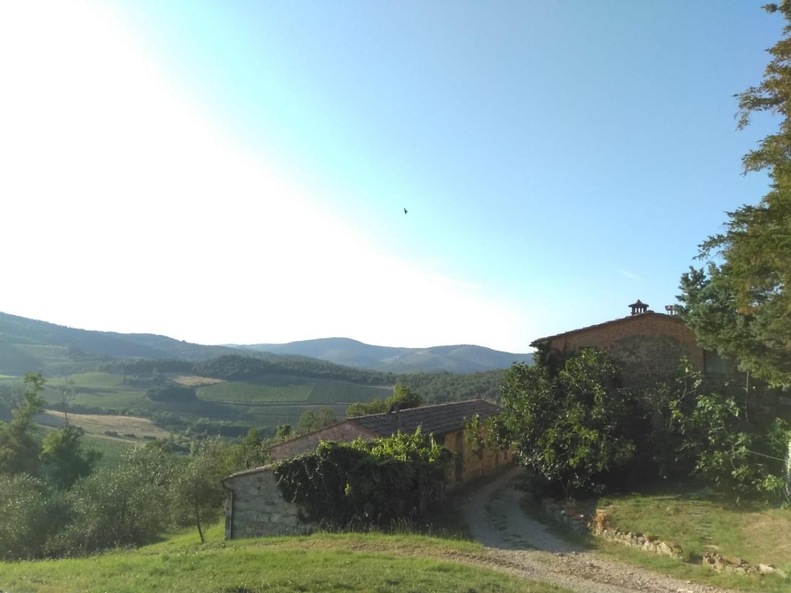 Bed & Breakfast Borgo Carpineto