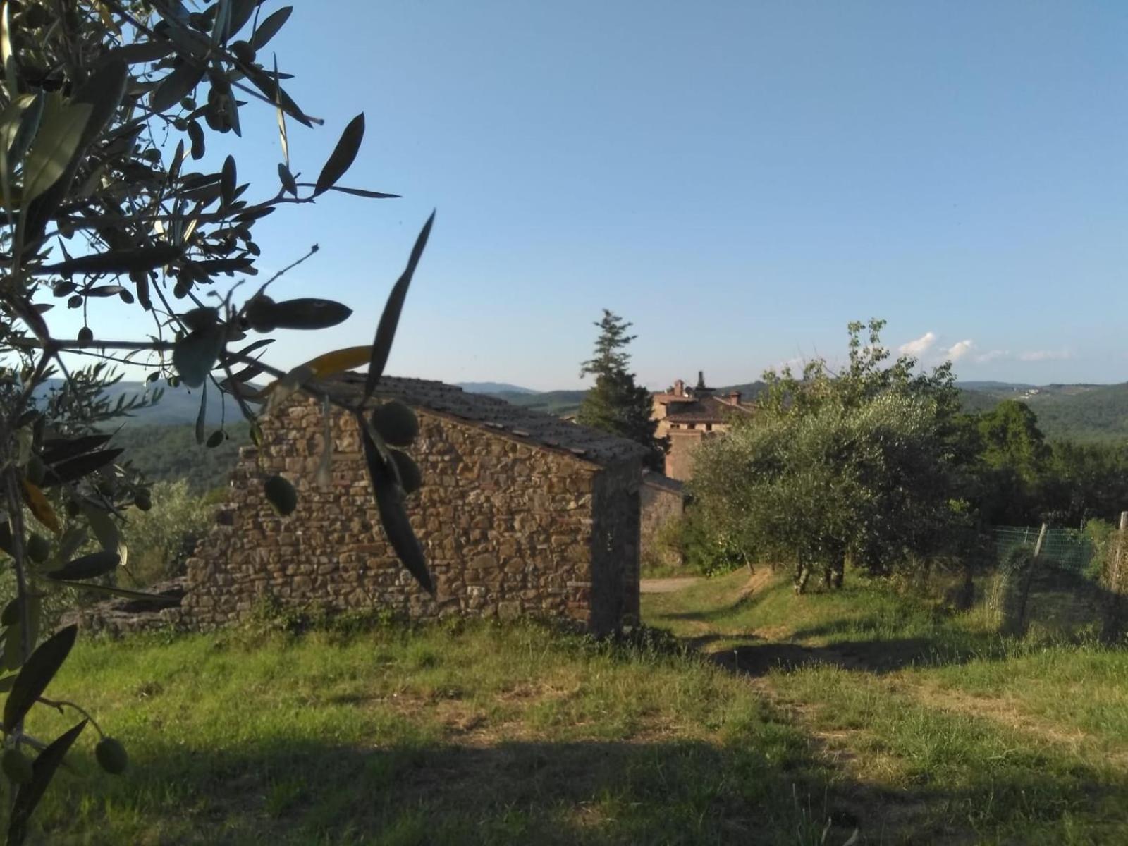 Borgo Carpineto 3*